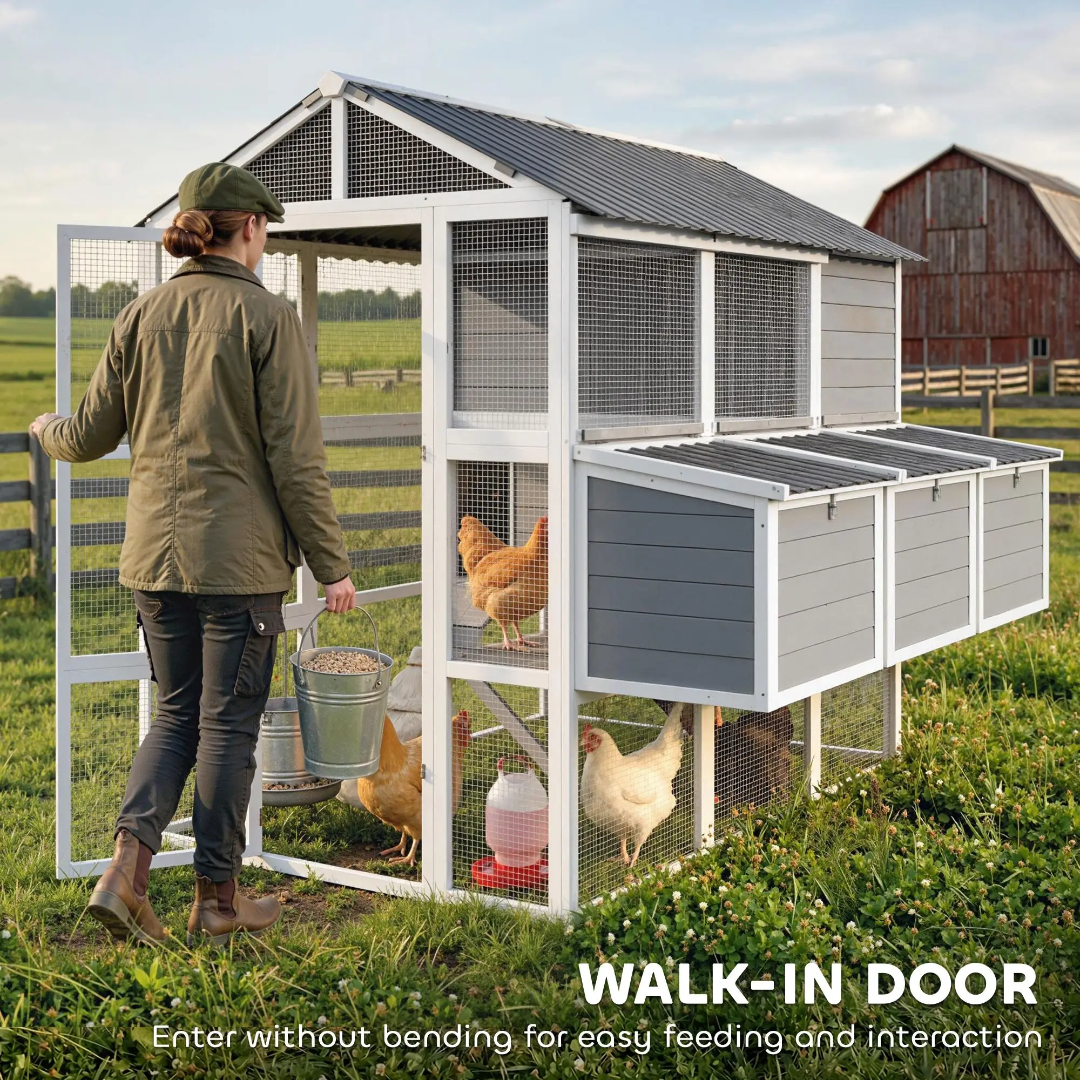 72 Inch Chicken coop