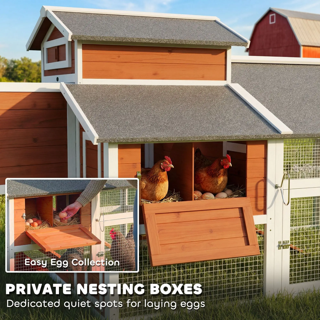 47.2 Inch Chicken Coup Medium Size
