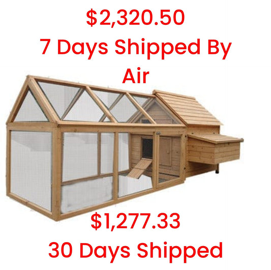 Wooden Chicken Coop With Separate Structure & Egg Case 