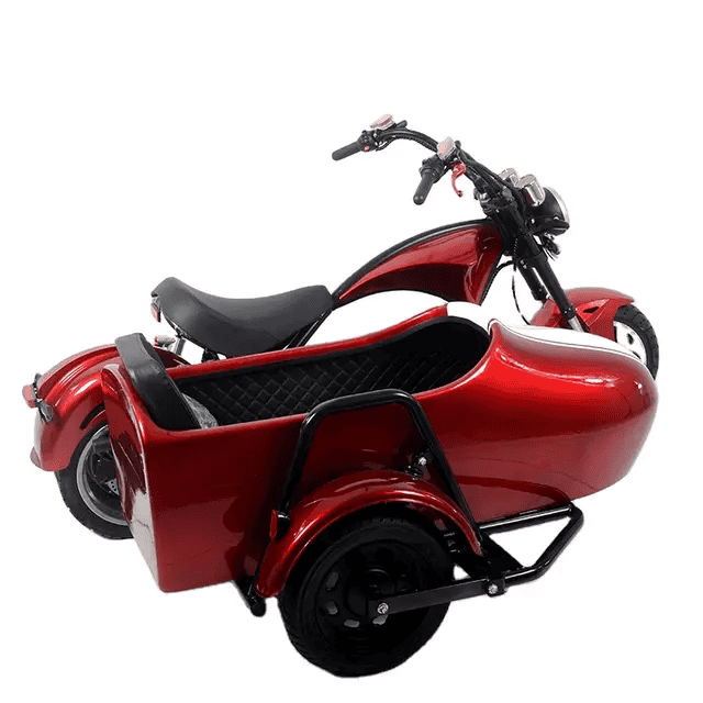 Electric Scooter & side car